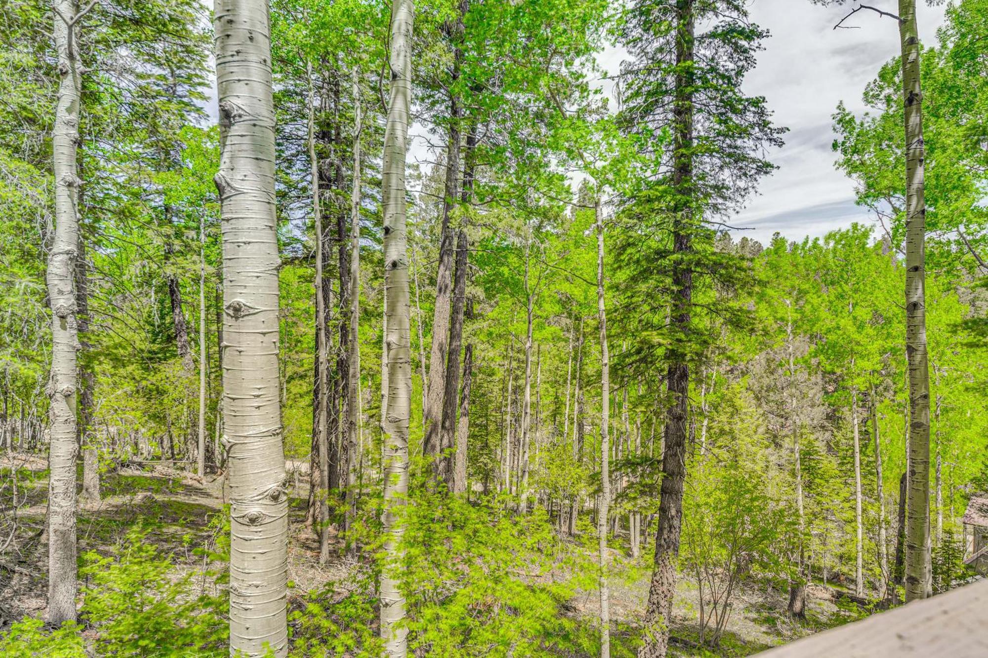 Quaint Cloudcroft Cabin With Stunning Forest Views! Exteriör bild